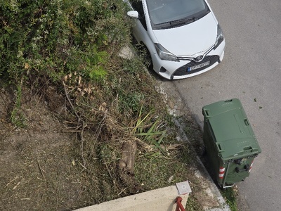 να μαζευτούν τα μπαζα  	Δαρδανελλίων