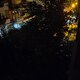 Καμένη λάμπα / δέντρο προς κόψιμο