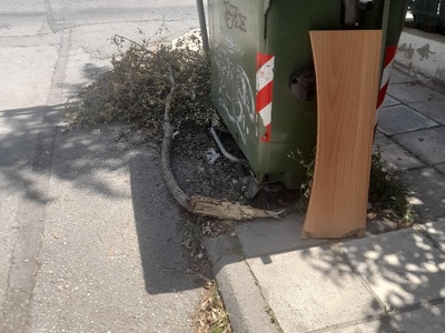 Παρασκευοπουλου 	Κλαδιά