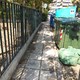 Κάδοι απορριμάτων έμπροσθεν 14 Νηπιαγωγείου Καλαμαριάς