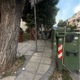Απομάκρυνση Κλαδιών και Ογκωδών Αντικειμένων που Εμποδίζουν τη Διέλευση Πεζών   Ερυθρού Σταυρού με Παριδος γωνία