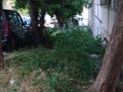 Κοπή χόρτων