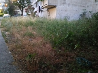 Κοπή χόρτων