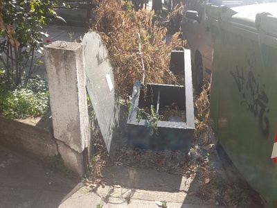 Θηχης  Κλαδιά