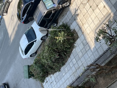 Απομάκρυνση κλαδιών από το πεζοδρόμιο   Καθηγητή Ρωσσιδη με Κούσκουρα