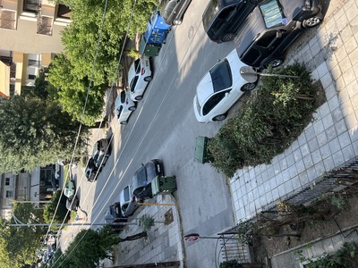 Απομάκρυνση κλαδιών από το πεζοδρόμιο   Καθηγητή Ρωσσιδη με Κούσκουρα