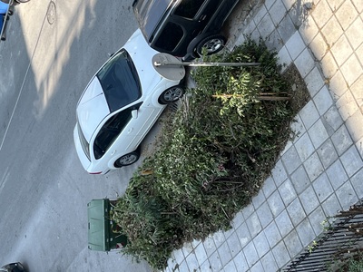 Απομάκρυνση κλαδιών από το πεζοδρόμιο   Καθηγητή Ρωσσιδη με Κούσκουρα