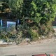 κομμένα κλαδια στην Τσιγγιρίδου
