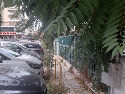 Καλαβρυτων  Κλαδεμα και κοψιμο χορτα