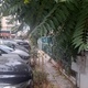 Καλαβρυτων  Κλαδεμα και κοψιμο χορτα