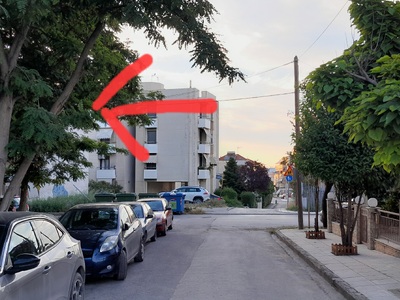 Κορμός δέντρου !!έτοιμος να πέσει σε δρόμο με πεζούς και αυτοκίνητα  	Καραβαγγέλη