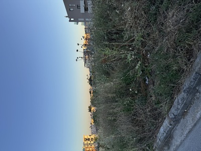 Κίνδυνος Πυρκαγιάς και Ερπετοειδών - Καθαρισμός Οικοπέδου  Πριάμου με Μπουμπουλίνας Λασκαρίνας.