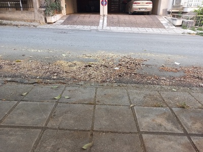 κοπη δεντρων και καθαριοτητα δρομων και πεζοδρομιων 	Καραμαούνα  με Δρακοπούλου