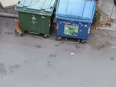 αποκομιδή ογκοδών αντικειμένων Ήρας