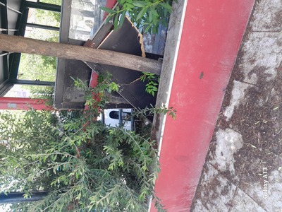 Σκουπιδότοπος  Παπανδρέου με Καραμανλή και Σεφέρη