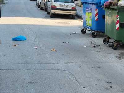 ΤΟΠΟΘΕΤΗΣΗ ΚΑΔΟΥ 	Κωνσταντικάκη Κορωναίου