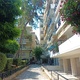 Κοπή κλαδιών πεύκου Μητροπολίτου Χρυσάνθου