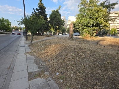 να κοπει ο κορμος