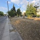 να κοπει ο κορμος