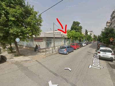 Ξεραμένο δέντρο - Τριπόλεως