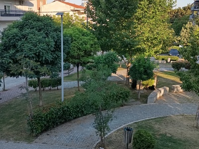 Βιοπουλου ποτιστικό, ξεραινονται δέντρα και πρασινο  Παπαγιώργη Παπάζογλου