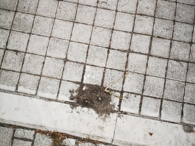 Καταστροφή Κωλονακια πεζοδρόμιο  	Μητροπολίτου Χρυσάνθου
