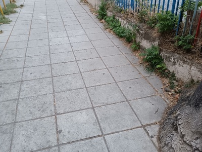 Καθαριότητα πεζοδρομίων ξαι ξεχορταριασμα  Κολοτούρου