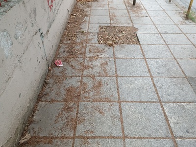 Καθαριότητα πεζοδρομίων ξαι ξεχορταριασμα  Κολοτούρου