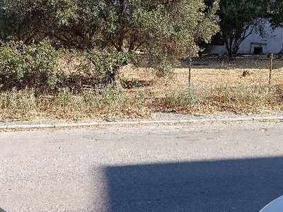 Εργασίες κοπής ξερών χόρτων 	Ήρας