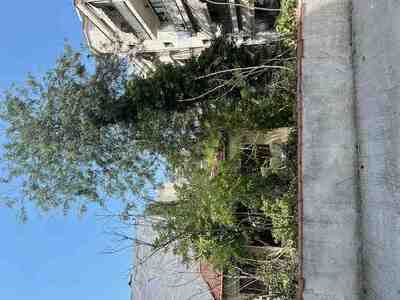 ΑΚΑΘΑΡΙΣΤΟ ΟΙΚΟΠΕΔΟ - ΥΓΕΙΟΝΟΜΙΚΟΣ ΚΙΝΔΥΝΟΣ ΑΠΟ ΑΔΕΣΠΟΤΑ