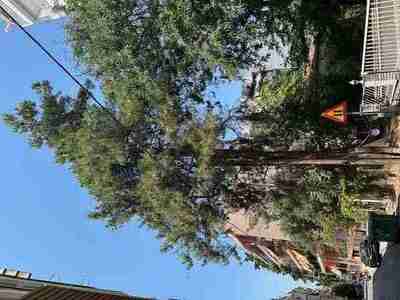 ΑΚΑΘΑΡΙΣΤΟ ΟΙΚΟΠΕΔΟ - ΥΓΕΙΟΝΟΜΙΚΟΣ ΚΙΝΔΥΝΟΣ ΑΠΟ ΑΔΕΣΠΟΤΑ