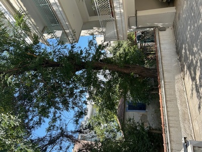 ΑΚΑΘΑΡΙΣΤΟ ΟΙΚΟΠΕΔΟ - ΥΓΕΙΟΝΟΜΙΚΟΣ ΚΙΝΔΥΝΟΣ ΑΠΟ ΑΔΕΣΠΟΤΑ