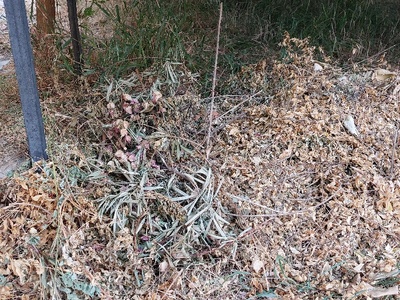 Κίνδυνος πυρκαγιάς- αναγκαίος καθαρισμός οικοπέδου  Κύμης