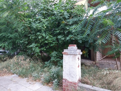 Κίνδυνος πυρκαγιάς- αναγκαίος καθαρισμός οικοπέδου  Κύμης