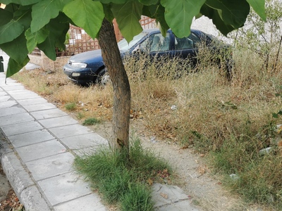 ΑΚΑΘΑΡΤΟ ΟΙΚΟΠΕΔΟ  Κων/νου Καραμανλή