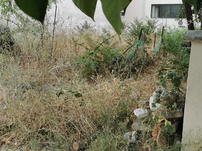 ΑΚΑΘΑΡΤΟ ΟΙΚΟΠΕΔΟ  Κων/νου Καραμανλή
