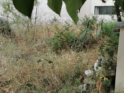 ΑΚΑΘΑΡΤΟ ΟΙΚΟΠΕΔΟ  Κων/νου Καραμανλή