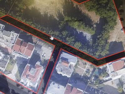 ΕΠΕΙΓΟΝ ΚΟΨΙΜΟ ΧΟΡΤΑ  ΚΙΝΔΥΝΟΣ ΦΩΤΙΑΣ ΚΑΙ ΚΛΑΔΙΑ ΑΠΟ ΔΕΝΤΡΑ ΠΟΥ ΕΠΕΣΑΝ ΠΑΝΩ ΣΕ ΠΑΡΚΙΝΓΚ  ΣΤΡΑΤΗΓΟΥ ΣΑΡΑΦΗ