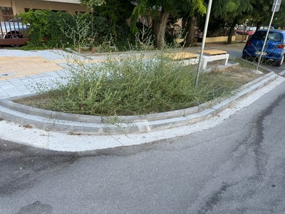 Εγκατάλειψη και απεριποίητα παρτέρια σε νέο έργο ανάπλασης – Καλαμαριά  Αργοναυτών