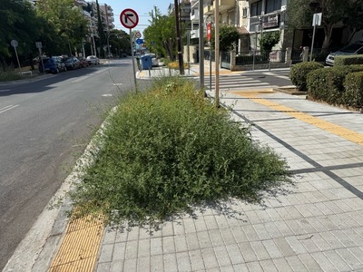 Εγκατάλειψη και απεριποίητα παρτέρια σε νέο έργο ανάπλασης – Καλαμαριά  Αργοναυτών