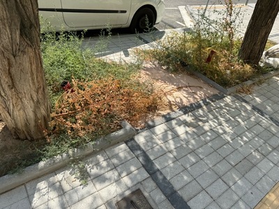 Εικόνες εγκατάλειψης σε πρόσφατο έργο ανάπλασης – Καλαμαριά  Αργοναυτών