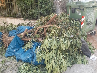 αμμεσα  καθαρισμου κλαδια και σκουπισμα  Παρασκευοπουλου