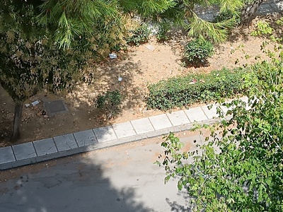 καθαριότητα παρκου  ΚΟΛΟΤΟΥΡΟΥ