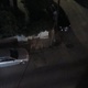 ΛΑΜΠΤΗΡΑΣ στην ΚΟΥΝΤΟΥΡΙΩΤΟΥ με ΜΙΚΡΑΣ ΑΣΙΑΣ