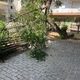 Σπασμένο κλαδί   Μητροπολίτη Κυδωνιών Γρηγορίου