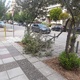 Σπσαμενο κλαδι  Αιγαιου
