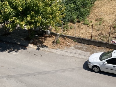 Στρώμα από φύλλα ελλιπής καθαριότητα  Χειμωνίδου