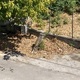 Στρώμα από φύλλα ελλιπής καθαριότητα  Χειμωνίδου