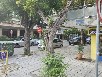 Σαπιο δέντρο  	Ταξιαρχών