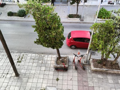 Δενδρο Γερνει και θα πεσει